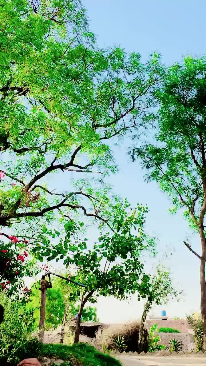 @@𝘾𝙡𝙖𝙨𝙨𝙮_(𝙎𝙤𝙣𝙮)