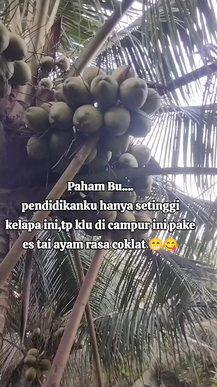 @TORUSMA PASARIBU