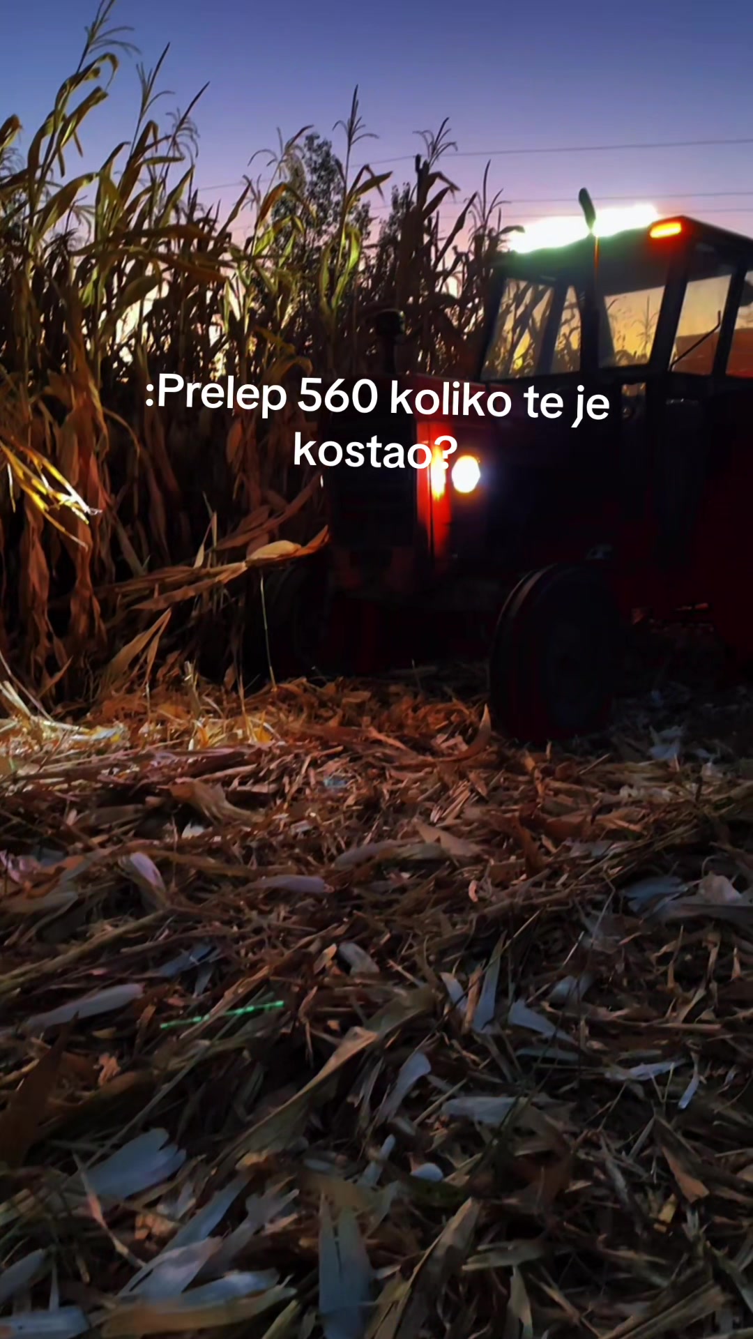 @vujkovv_08