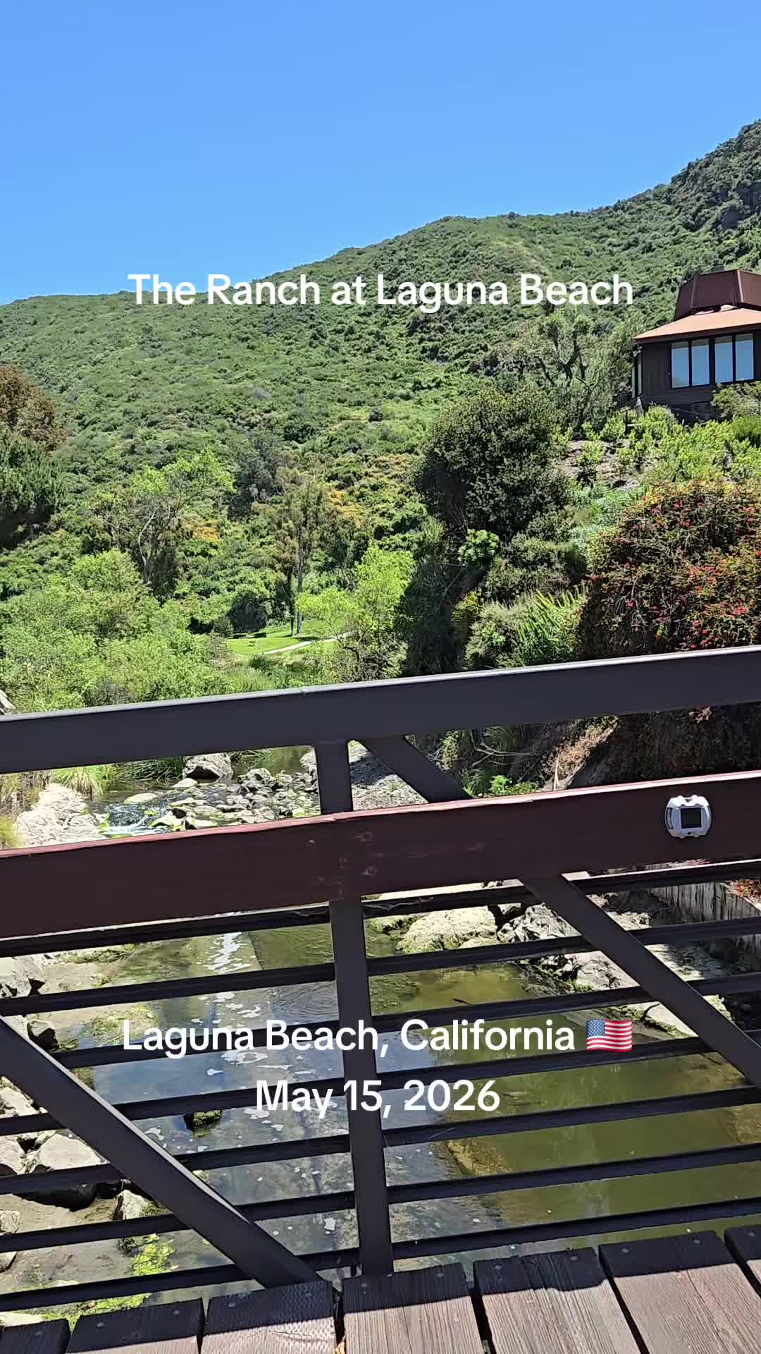 @Kelly Gee❌️