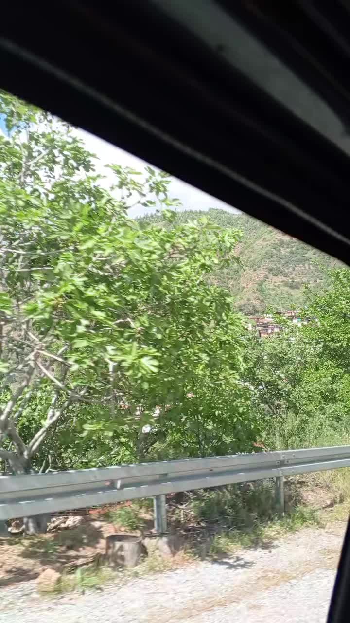 @&ouml;zlem