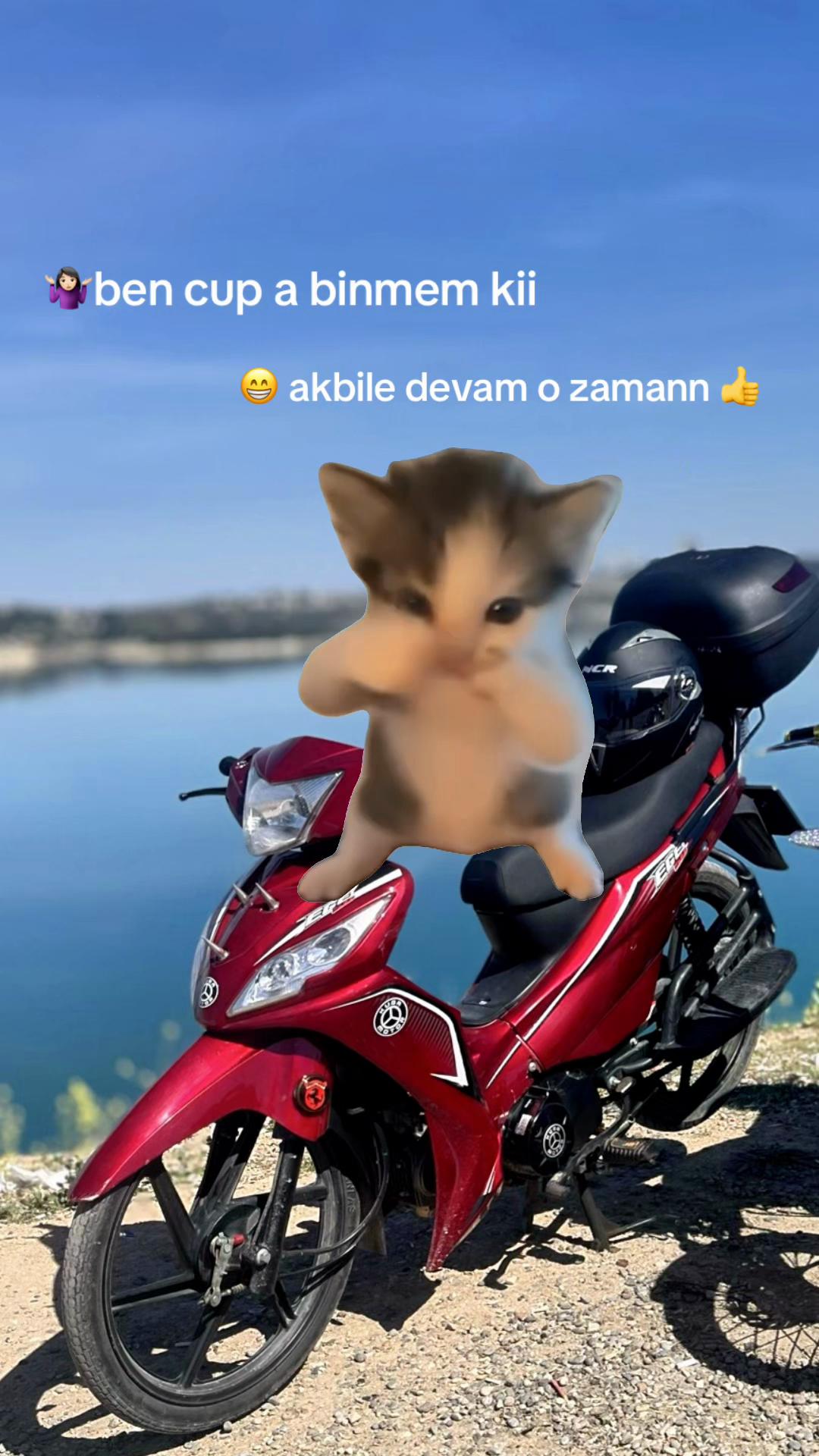 @M&uuml;soo