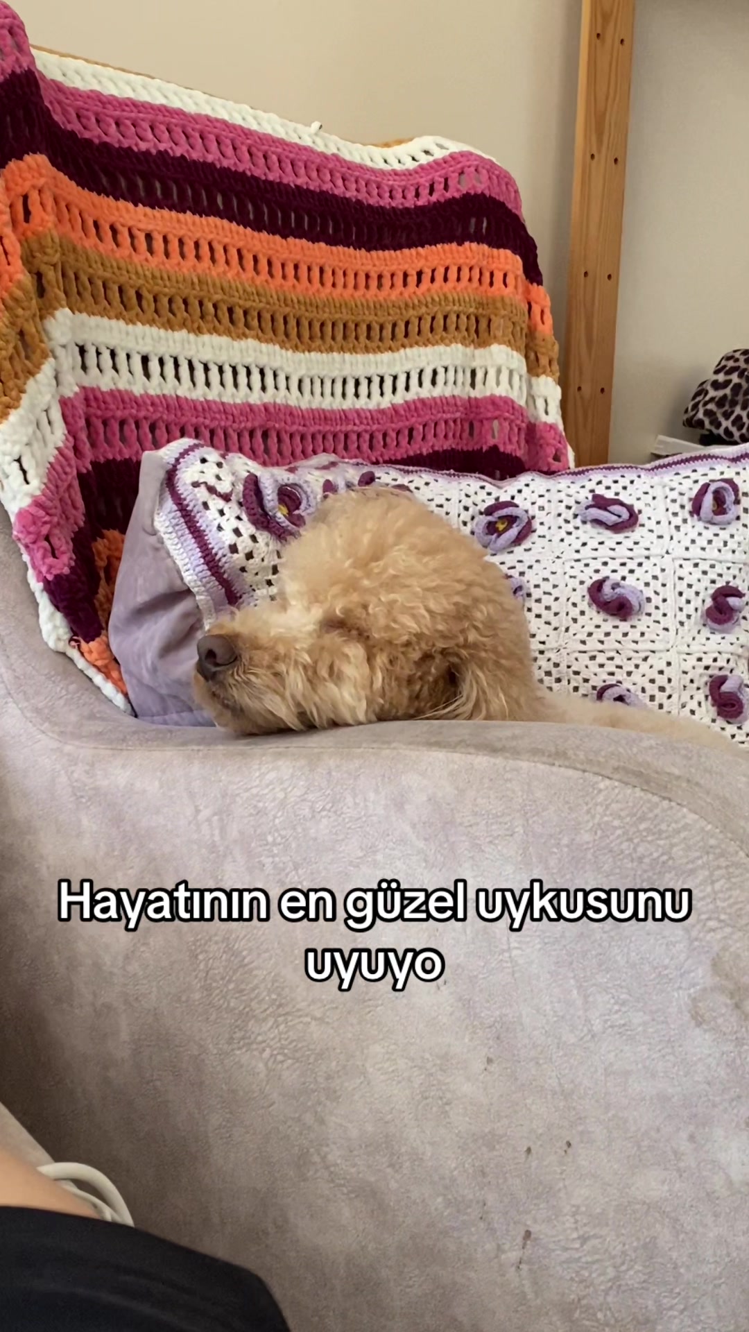 @lookawizard