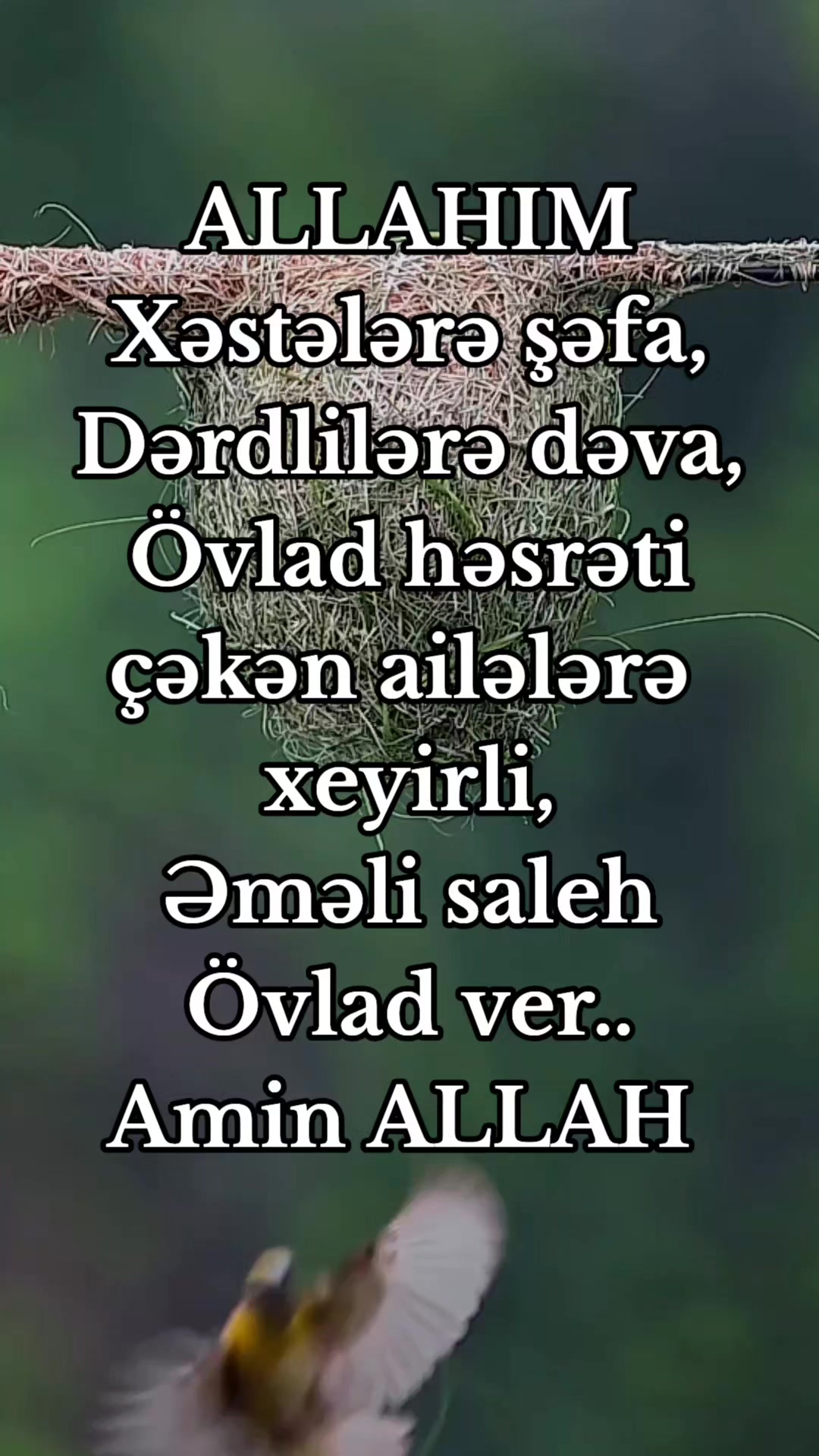 @DİNİM İSLAM