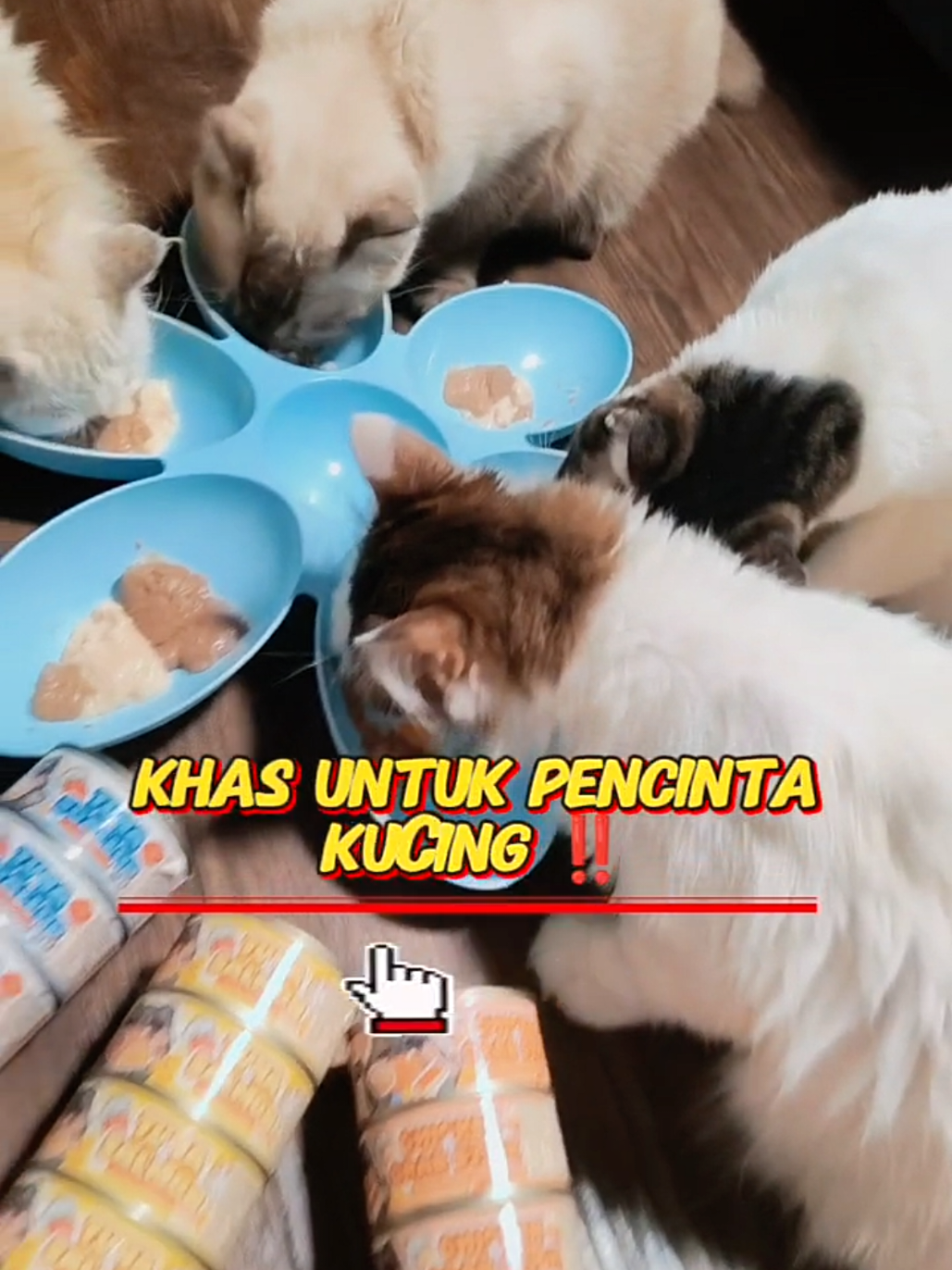 @Norazrena | Racun Tiktok