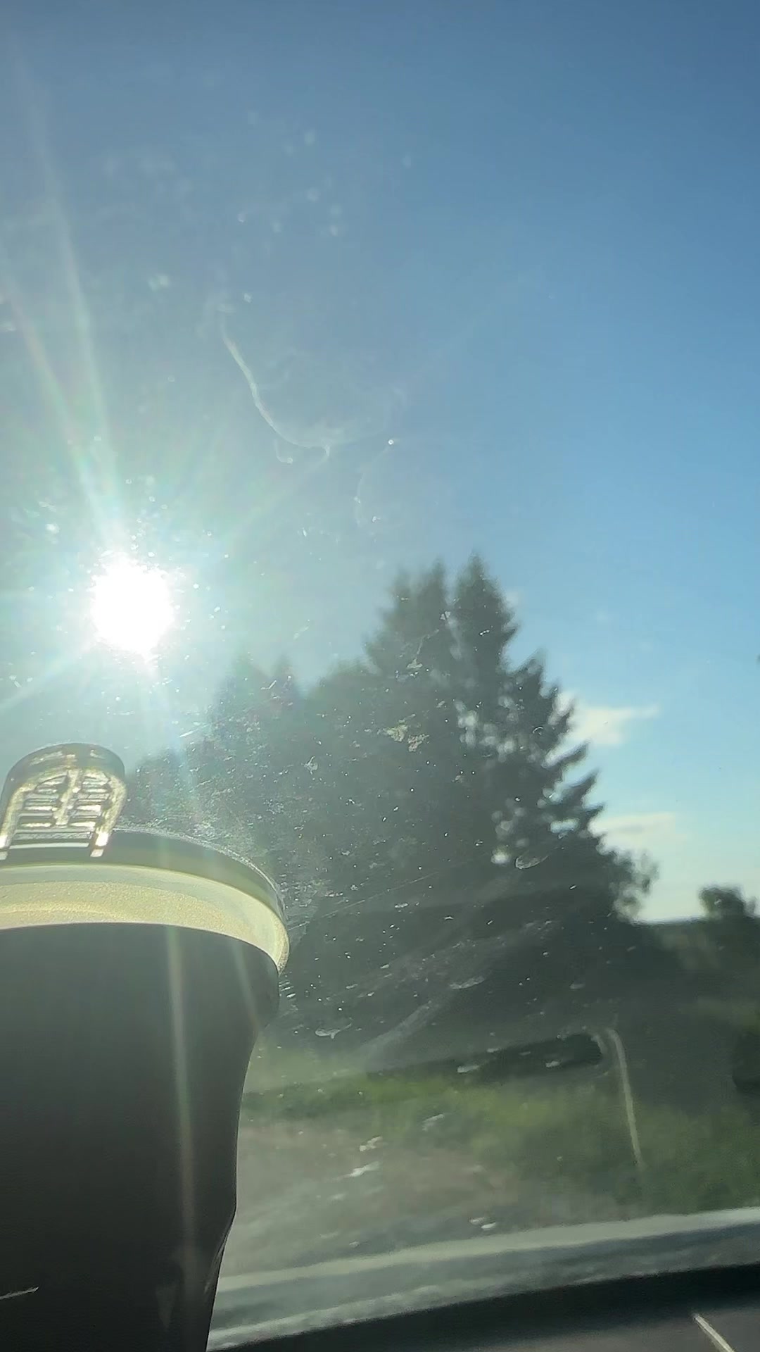@Елена🇧🇾 Беларусь 🌺