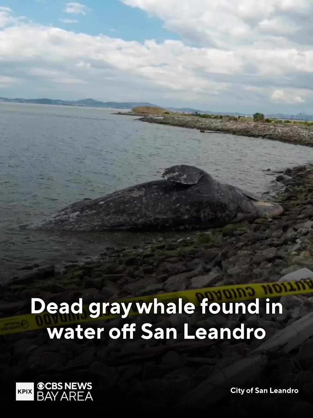 @KPIXTV