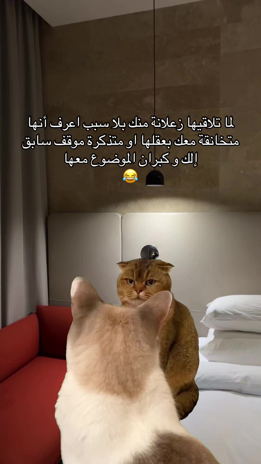 @๐R eps Mohamed๐