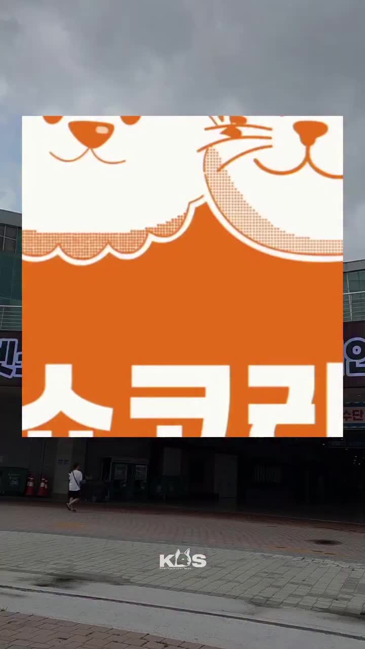 @🐶🐶엄지맘🦮🐕&zwj;🦺🐩
