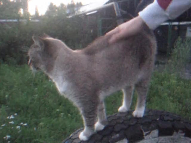 @мраквглазах