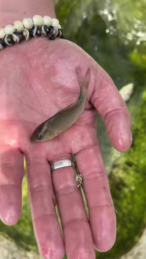 @АзиАтский СтрАнник 🦈