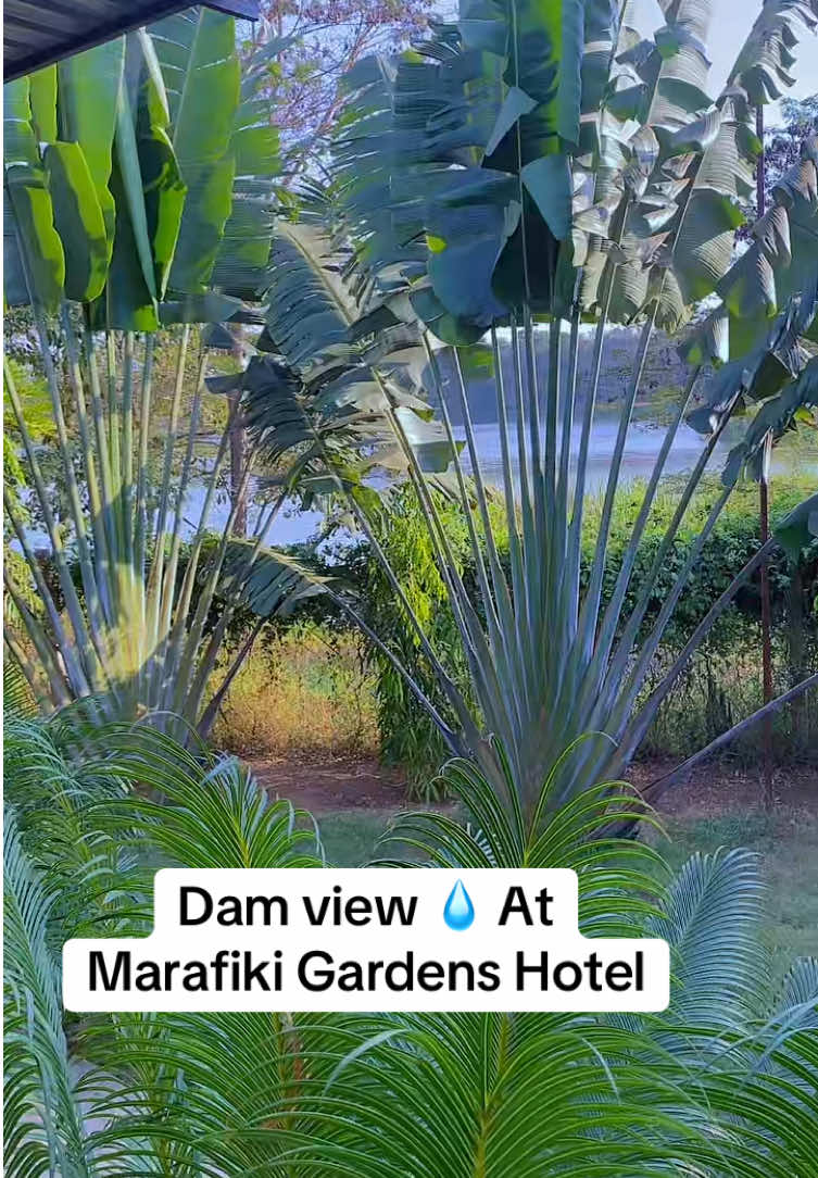 @Marafiki Gardens Resort