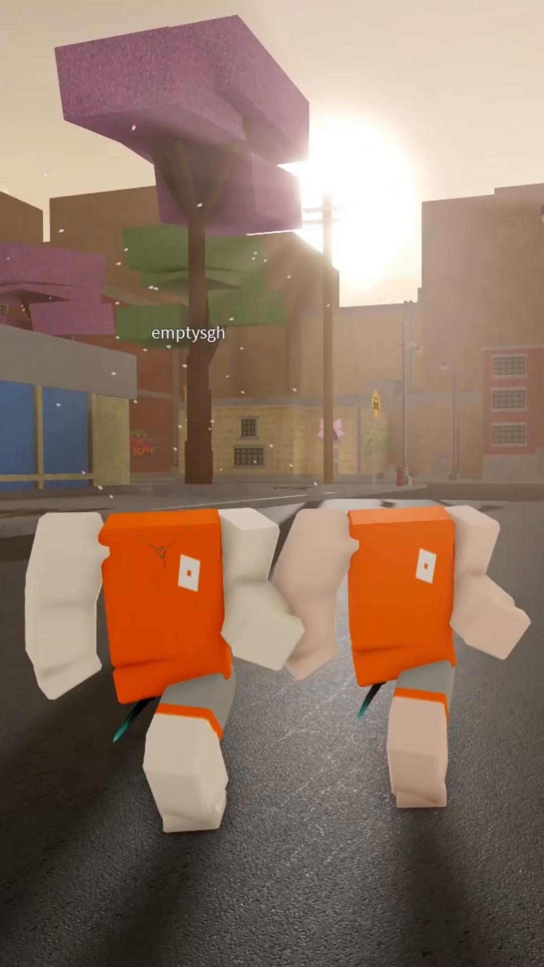 @hayden xd