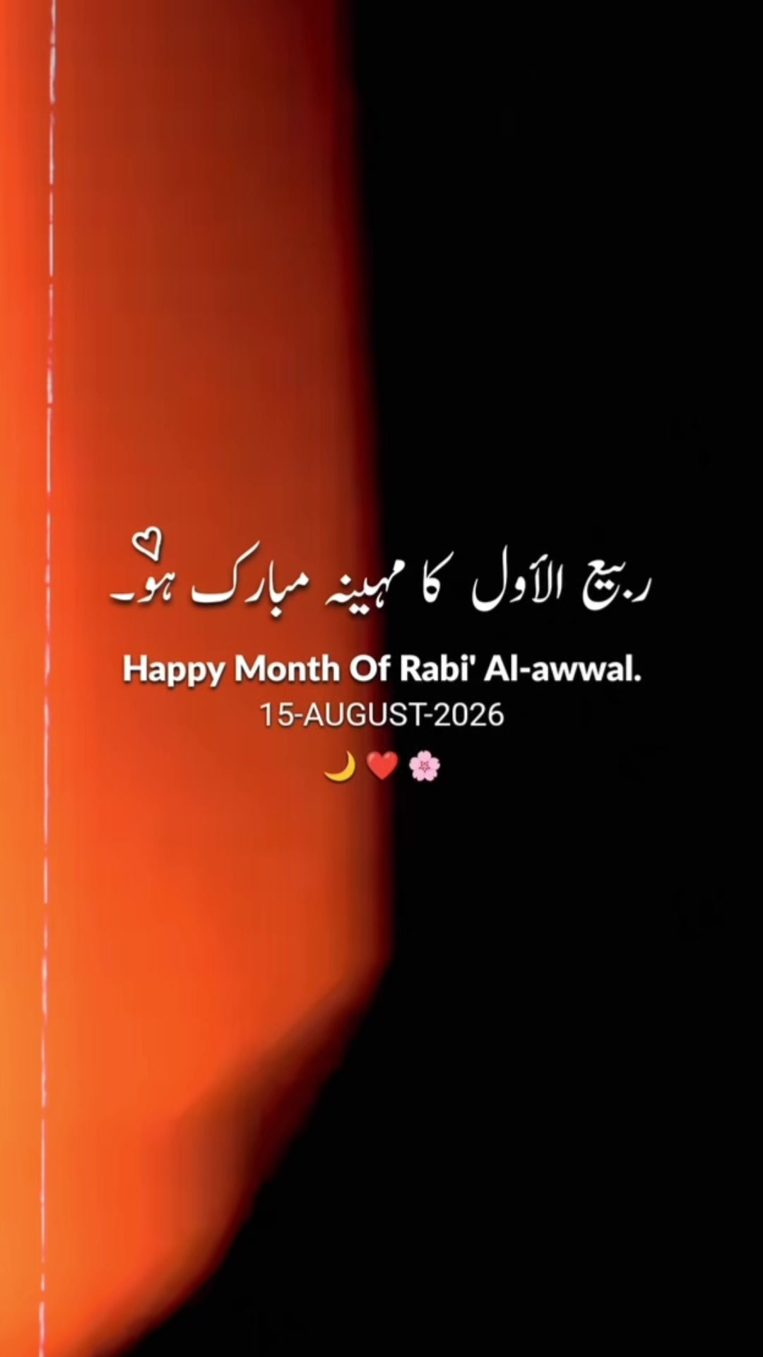 @MR saQi🧚🏻♂️