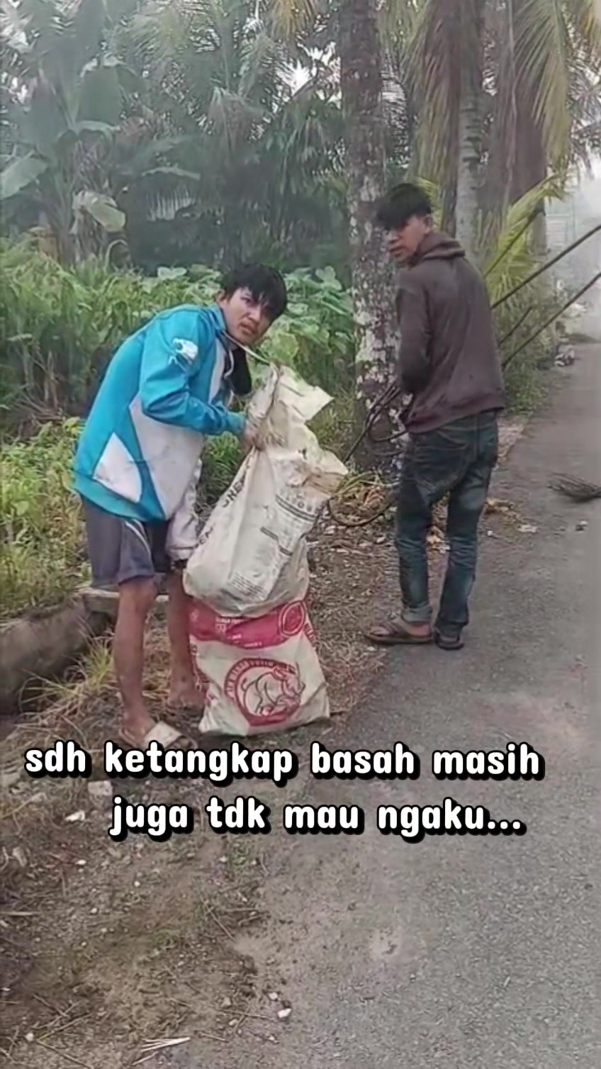 @bhoNaifa