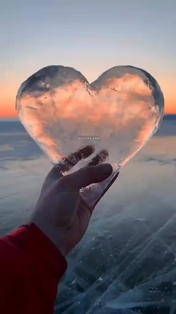 @✧༒☬(❤️🅳/🆉🖤)☬༒✧