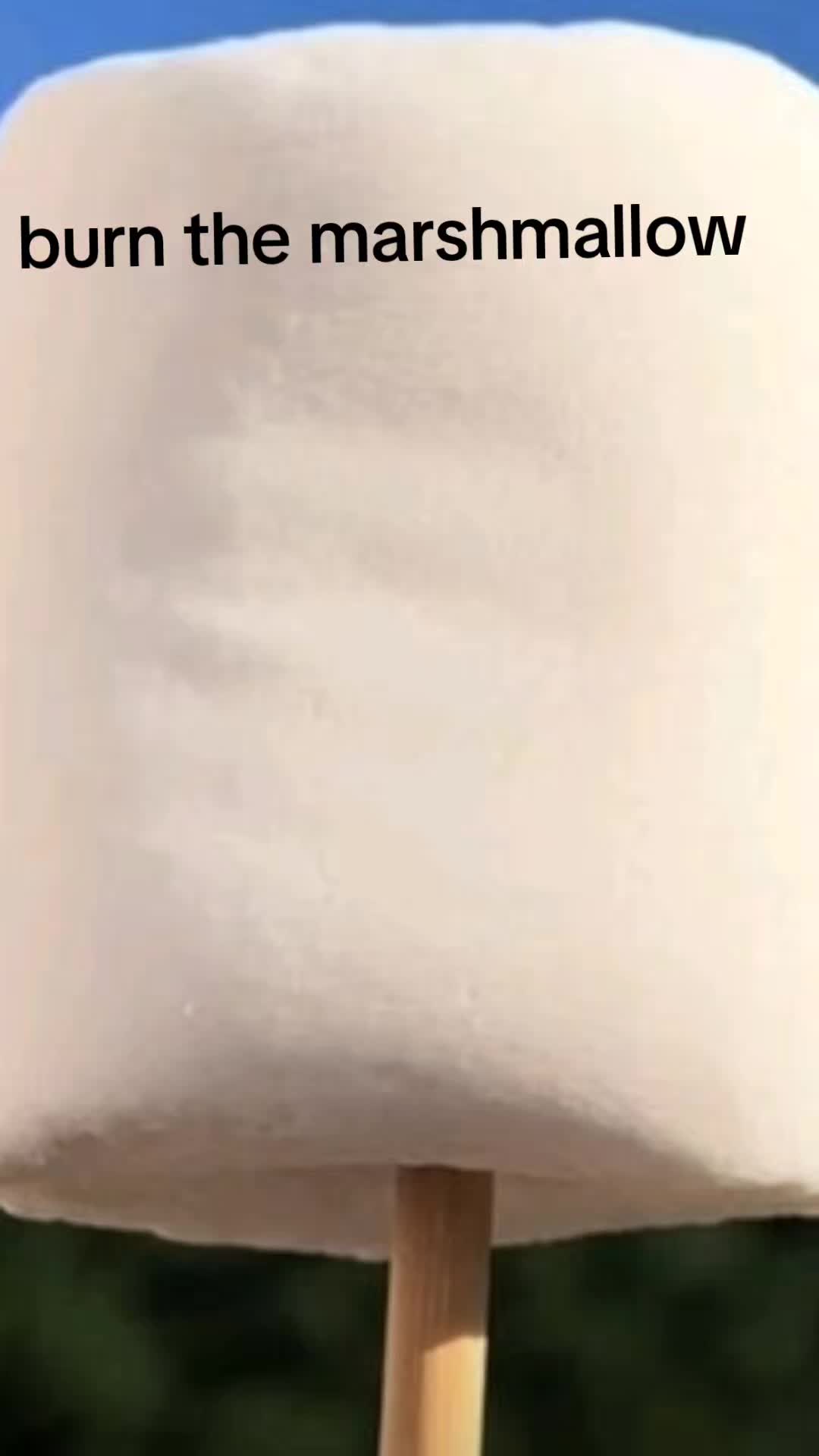 @REAL-CHICKENBLEAH