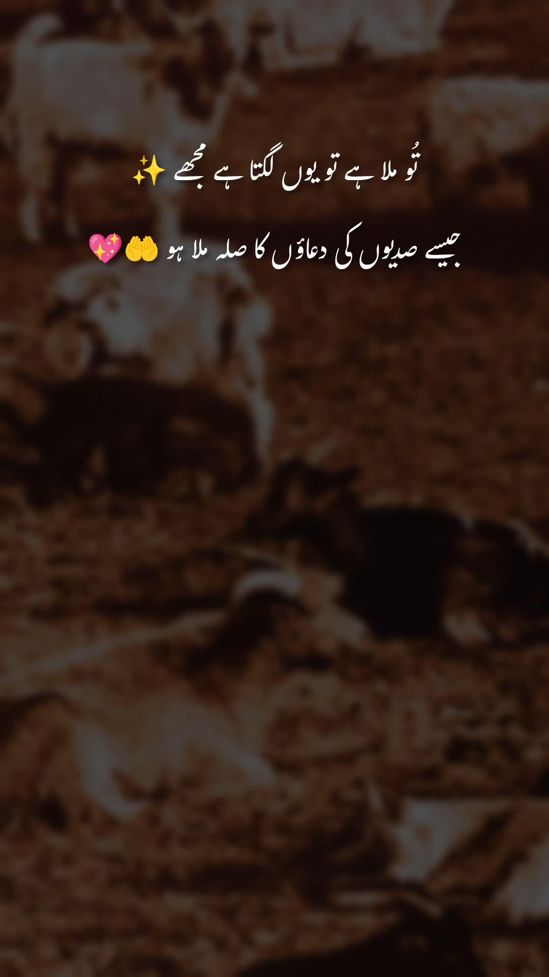 @sidra🌺