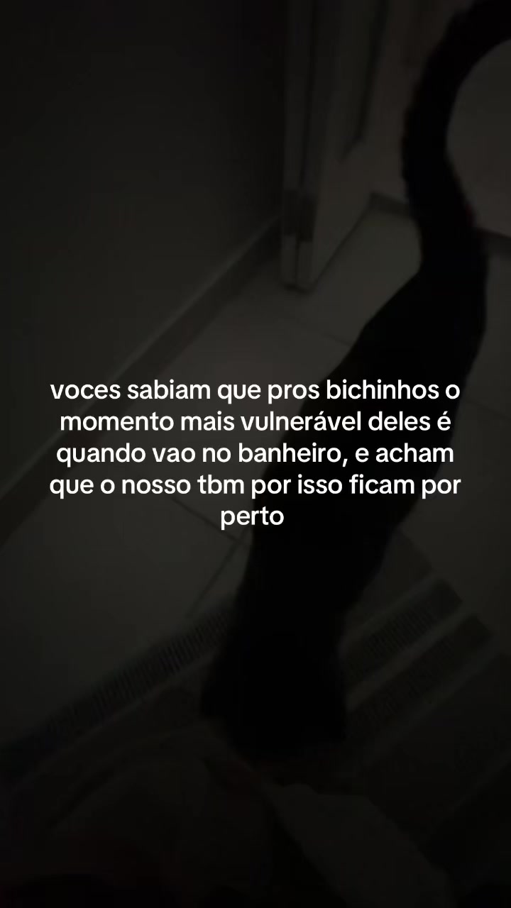 @loirinha da baeta ⚢