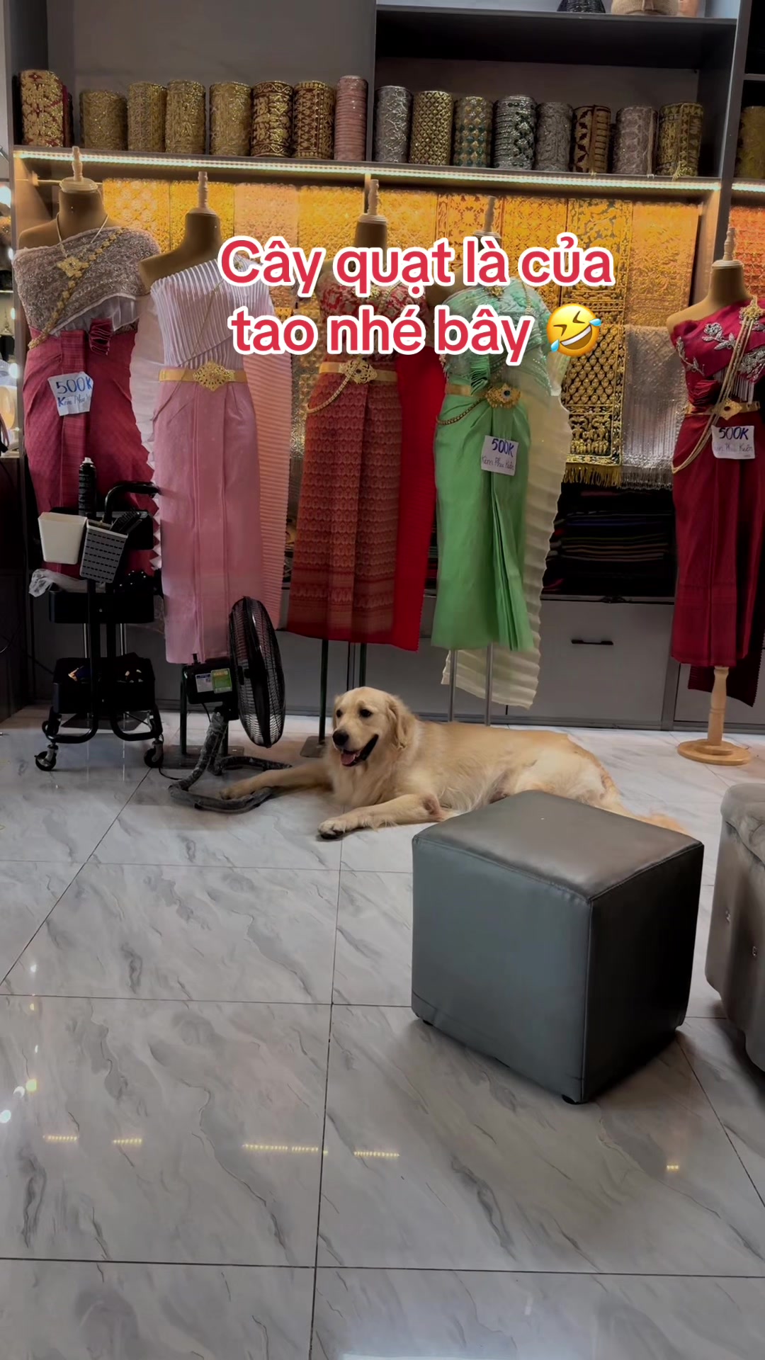 @Nết NaRy Thuê Đồ SomRong