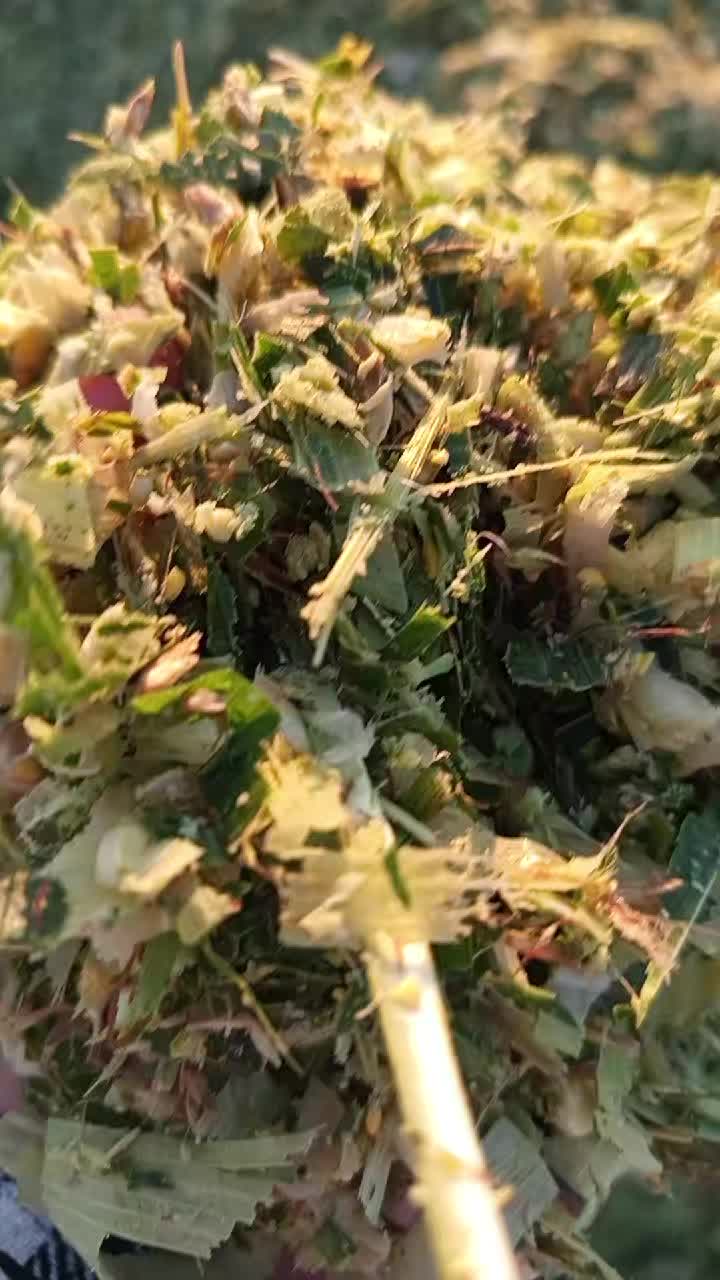 @Mahsum Özcan