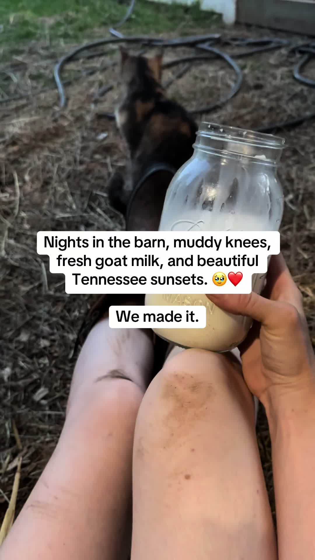 @Enchanted Hollow Homestead ✨🌲