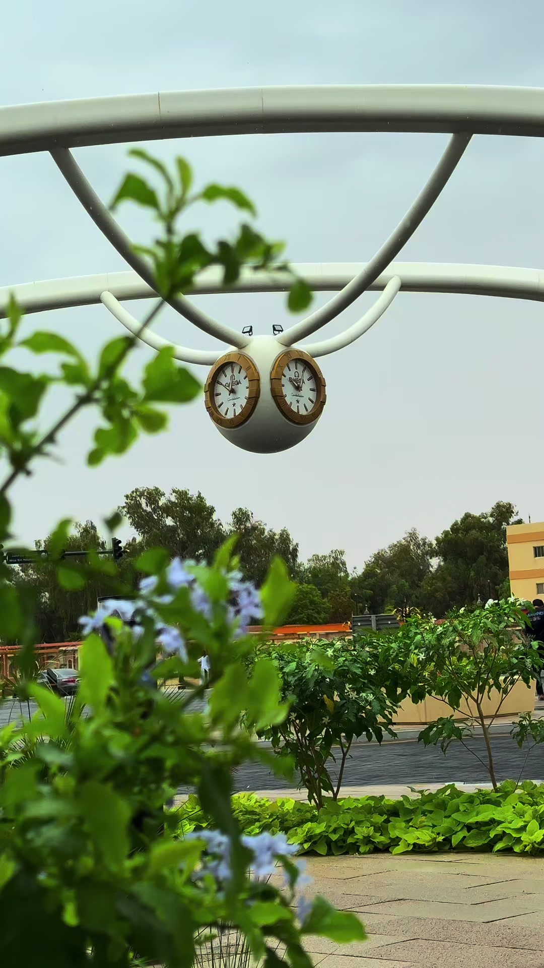 @Discover Al Ain 🏝️