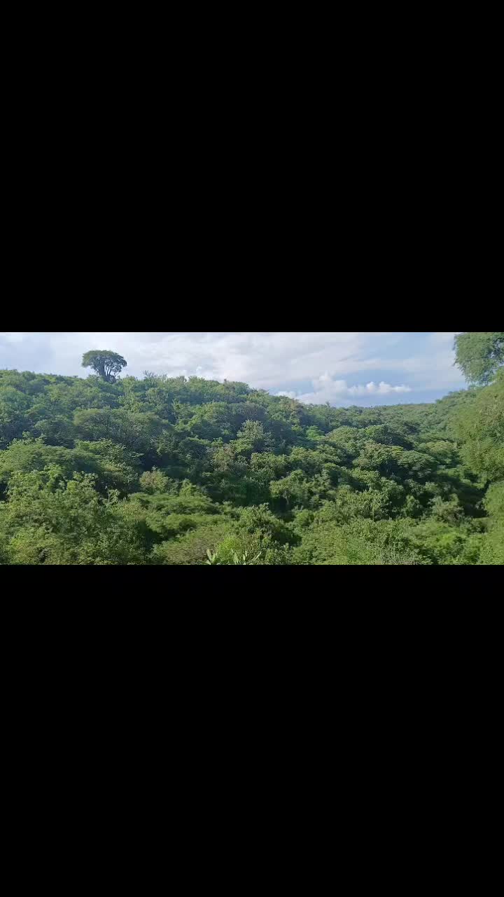@PinoHernándezoficial