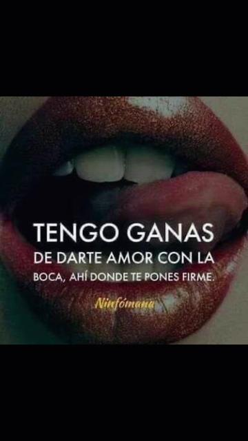 @bichota7088