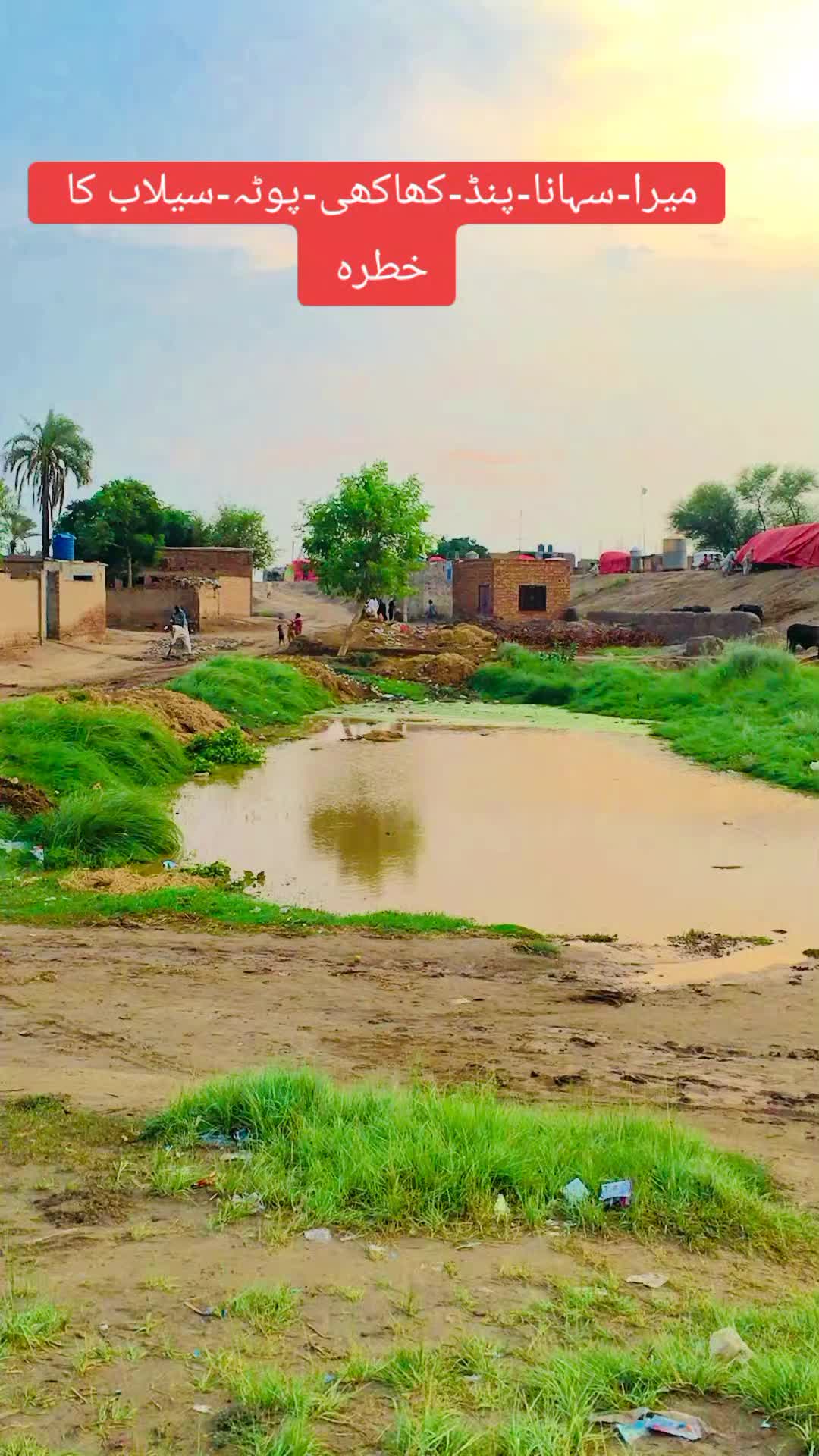 @مزمل پینڈو