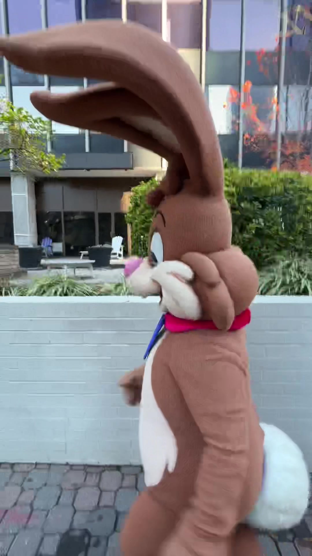 @Nesquik