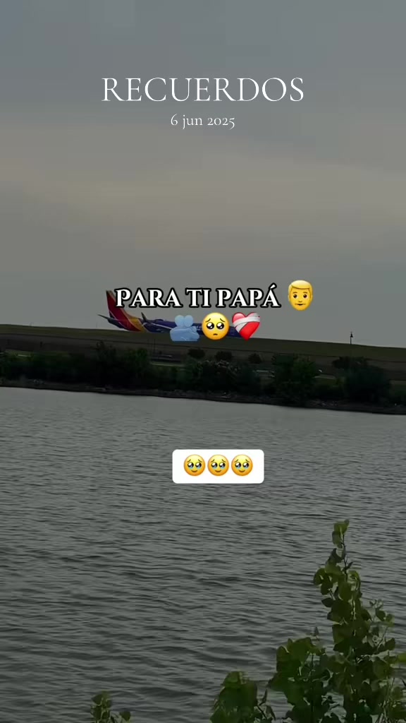 @Beatr&iacute;z🫅🏻🤩🌻