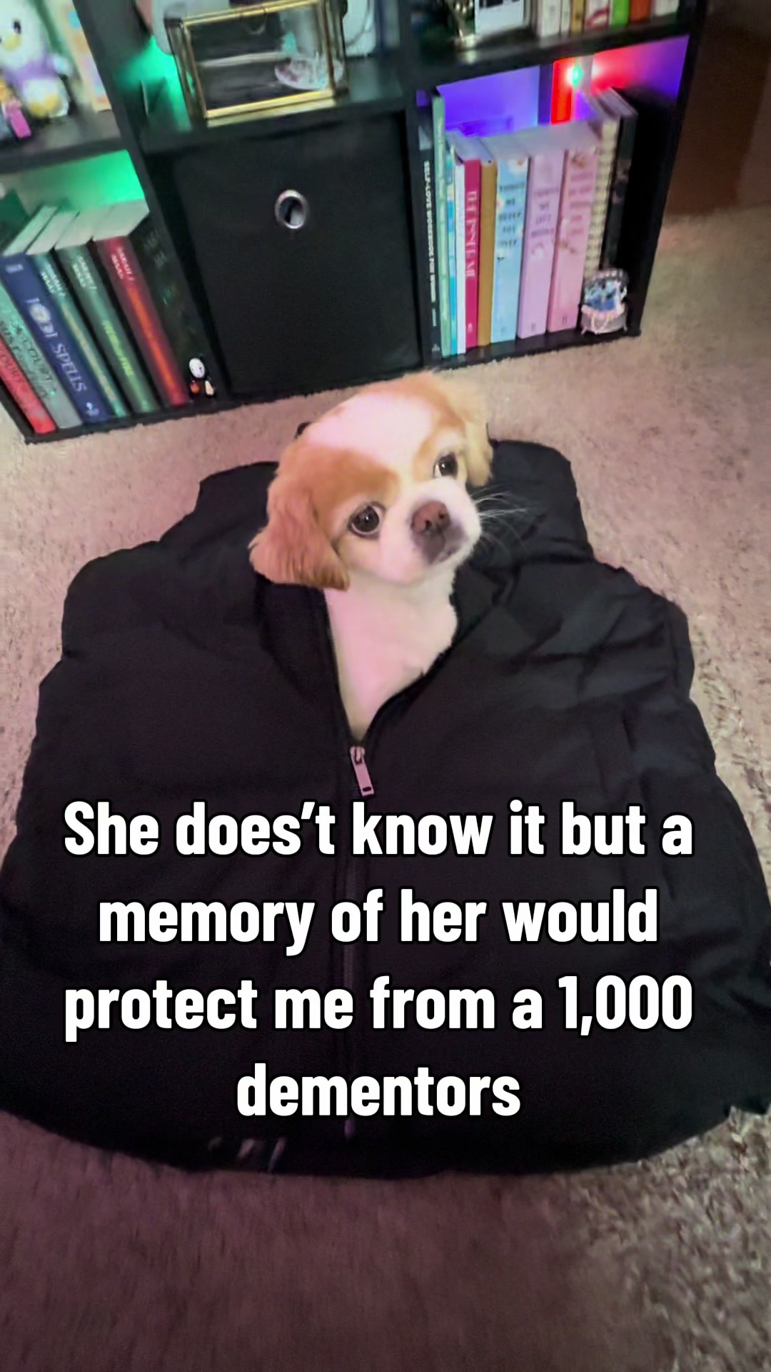 @Danielle Paigen