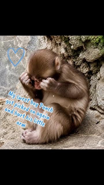 @𝓢𝓷𝓲𝓬𝓴𝓼 🐒