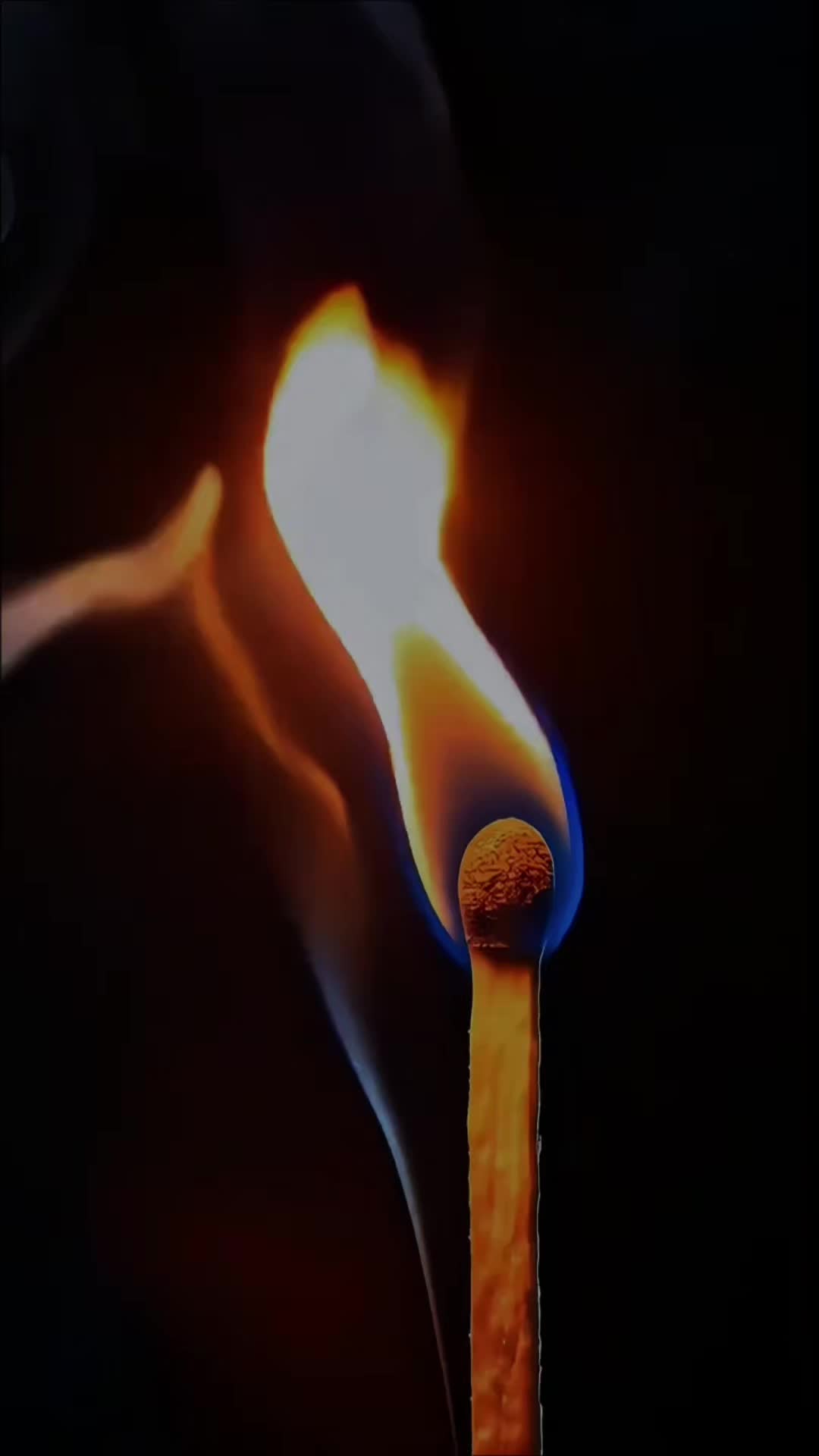 @R̊o̊s̊s̊i̊ Y̊ån̊n̊ẙ