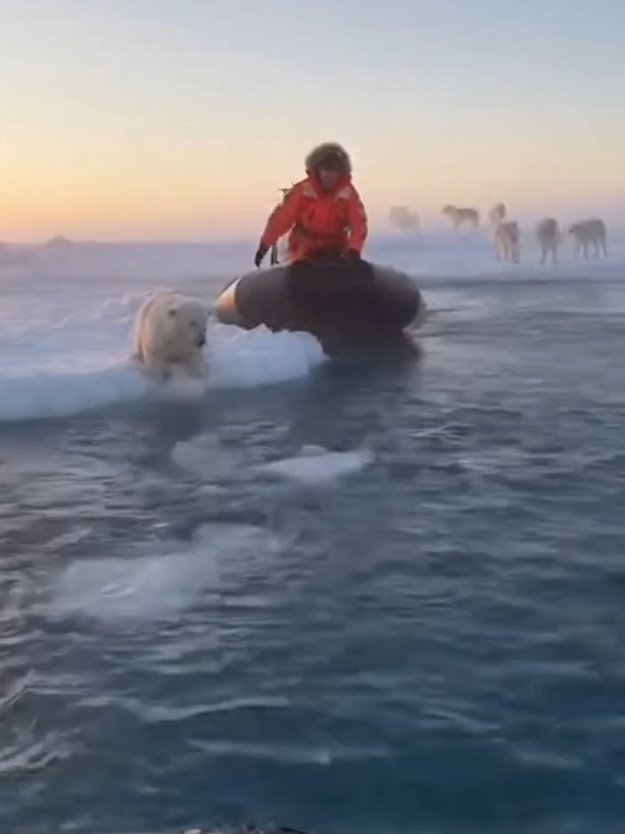 @GuardianMoments