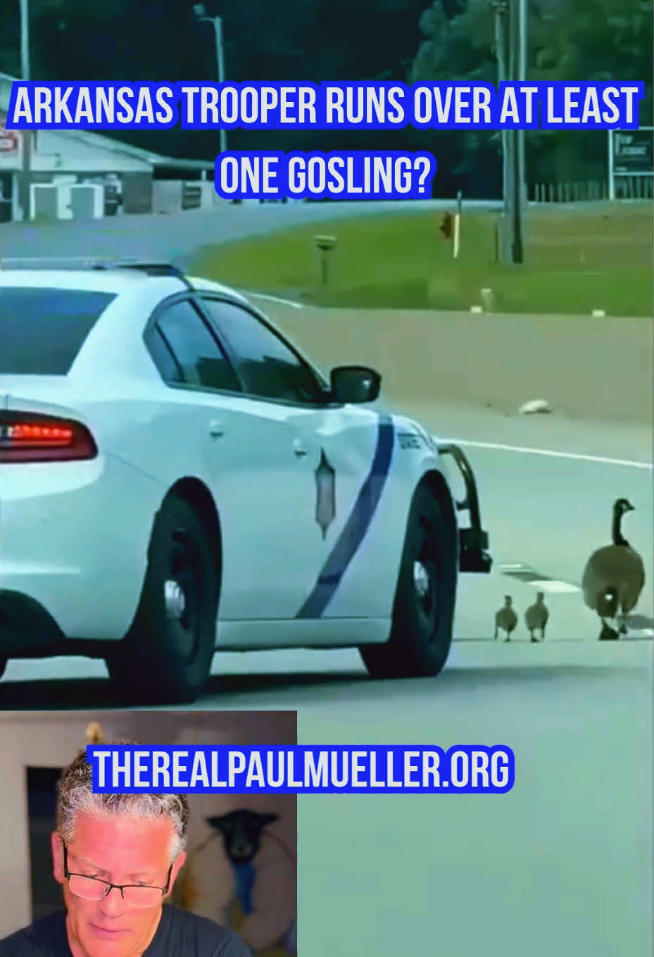 @TheRealPaulMueller