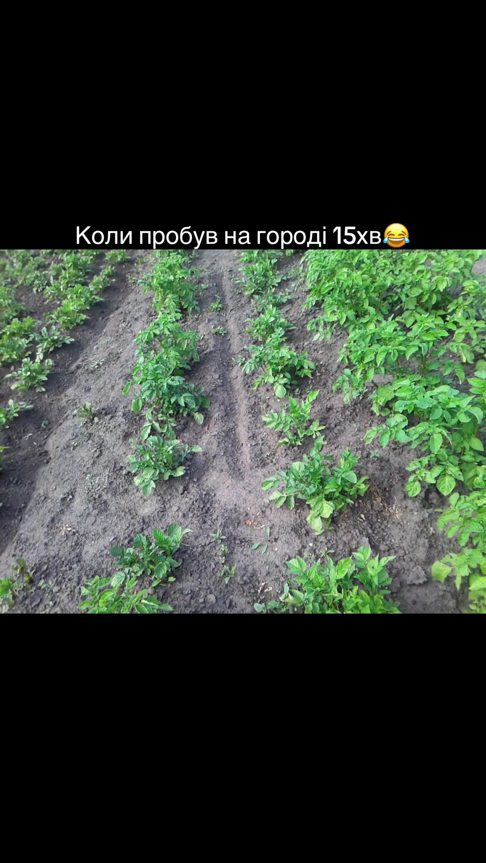 @Лубенський район 🎶