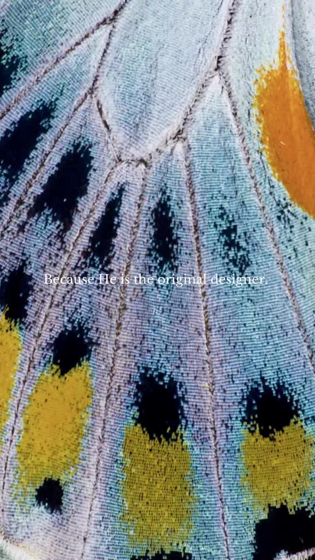 @BY GREY Swimwear and Design