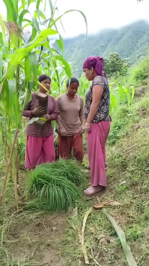 @Pampha Shris