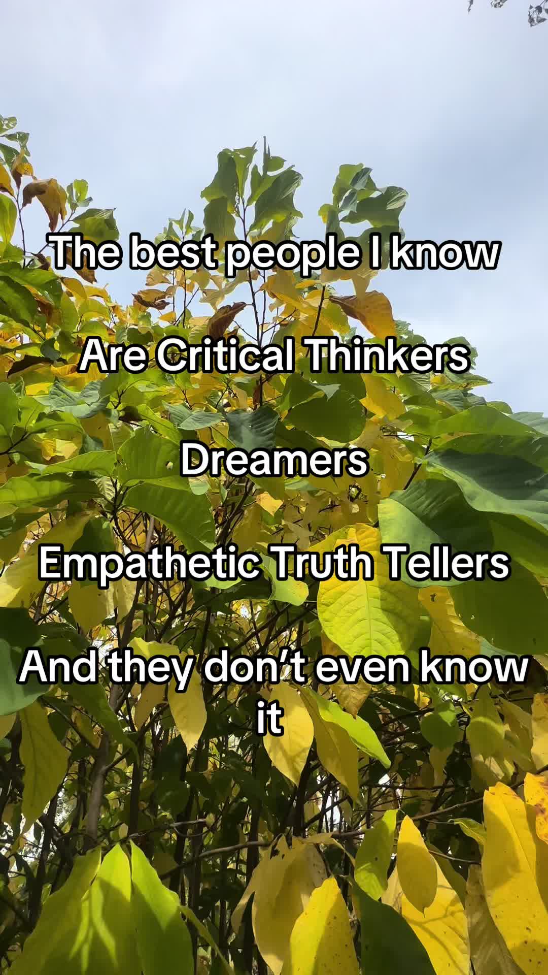 @nemothetalkingfish