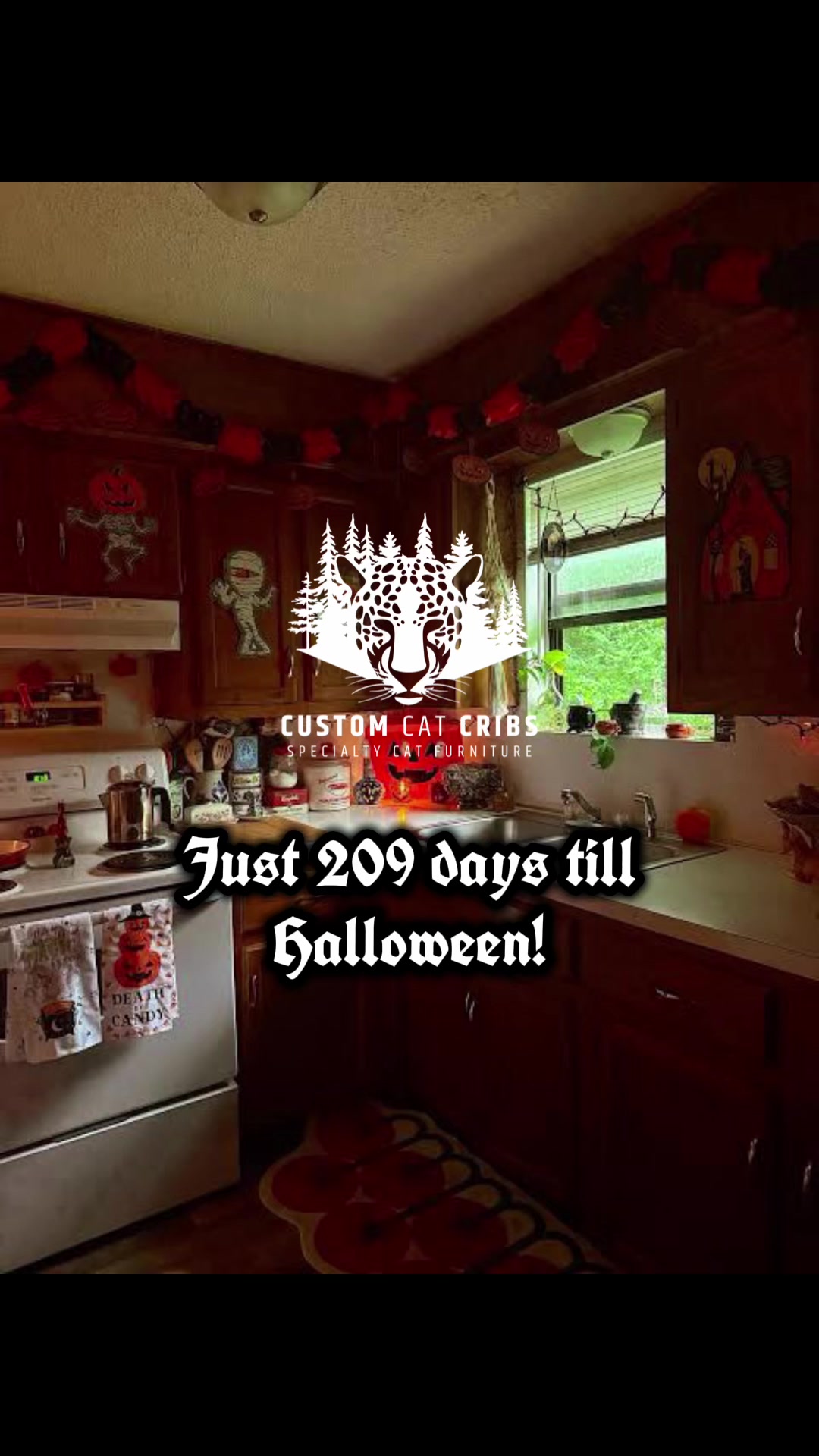 @customcatcribs