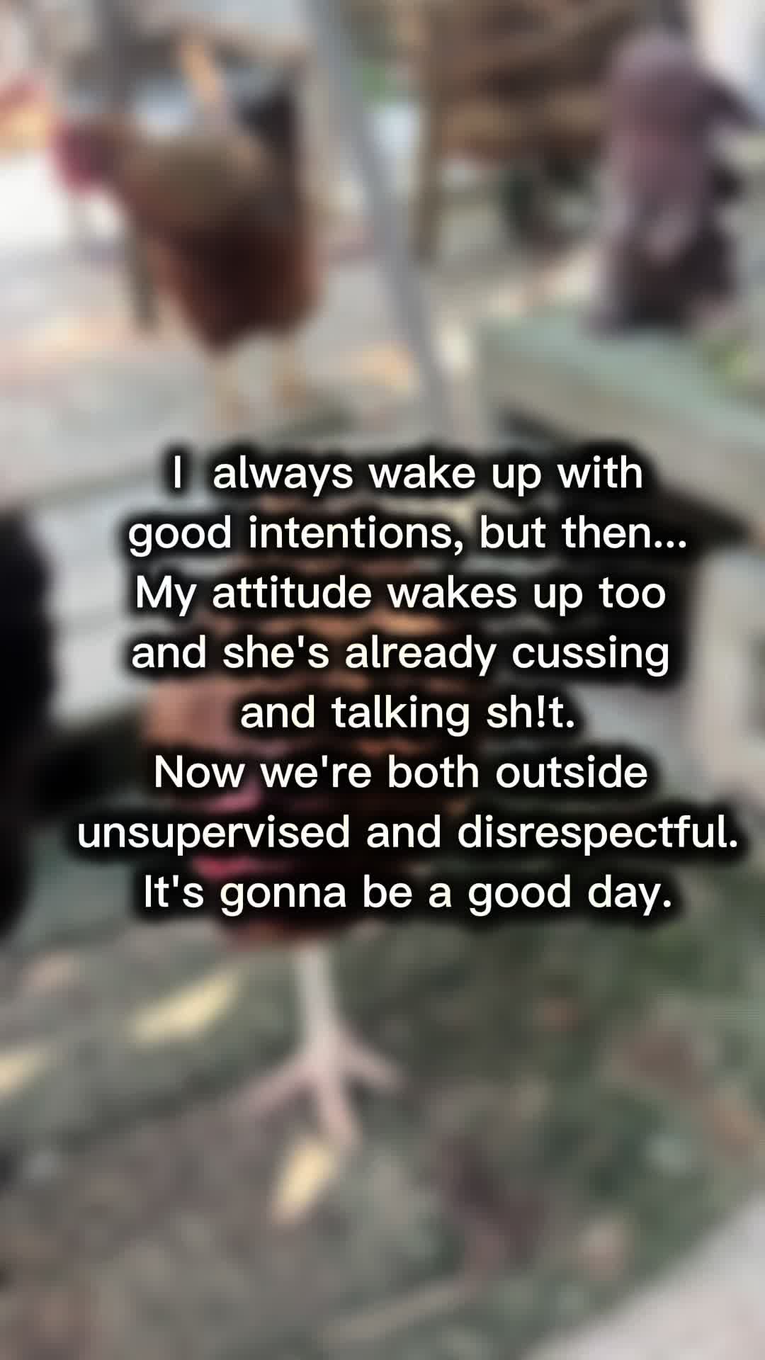 @Dawn H