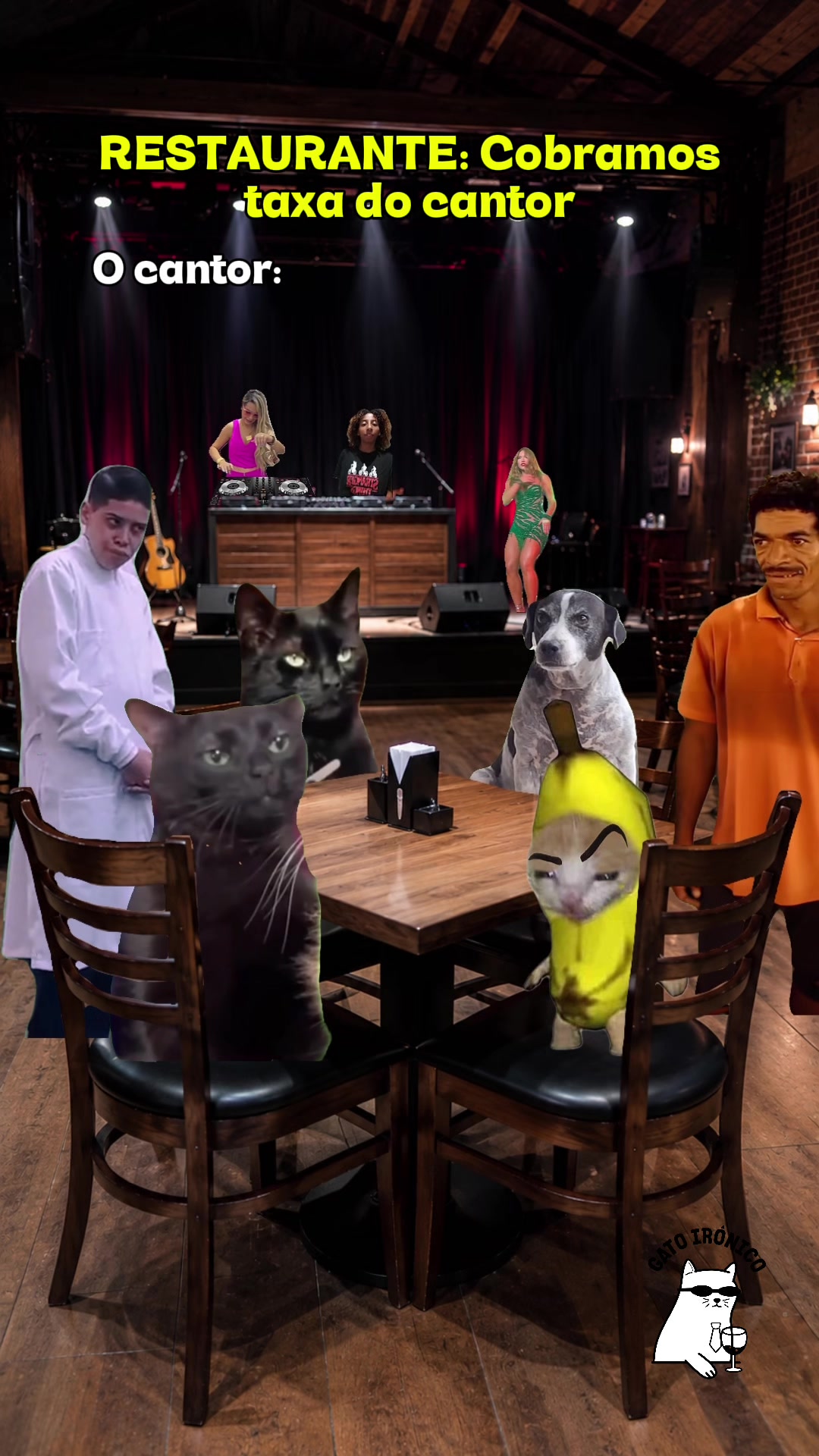 @gato ironico