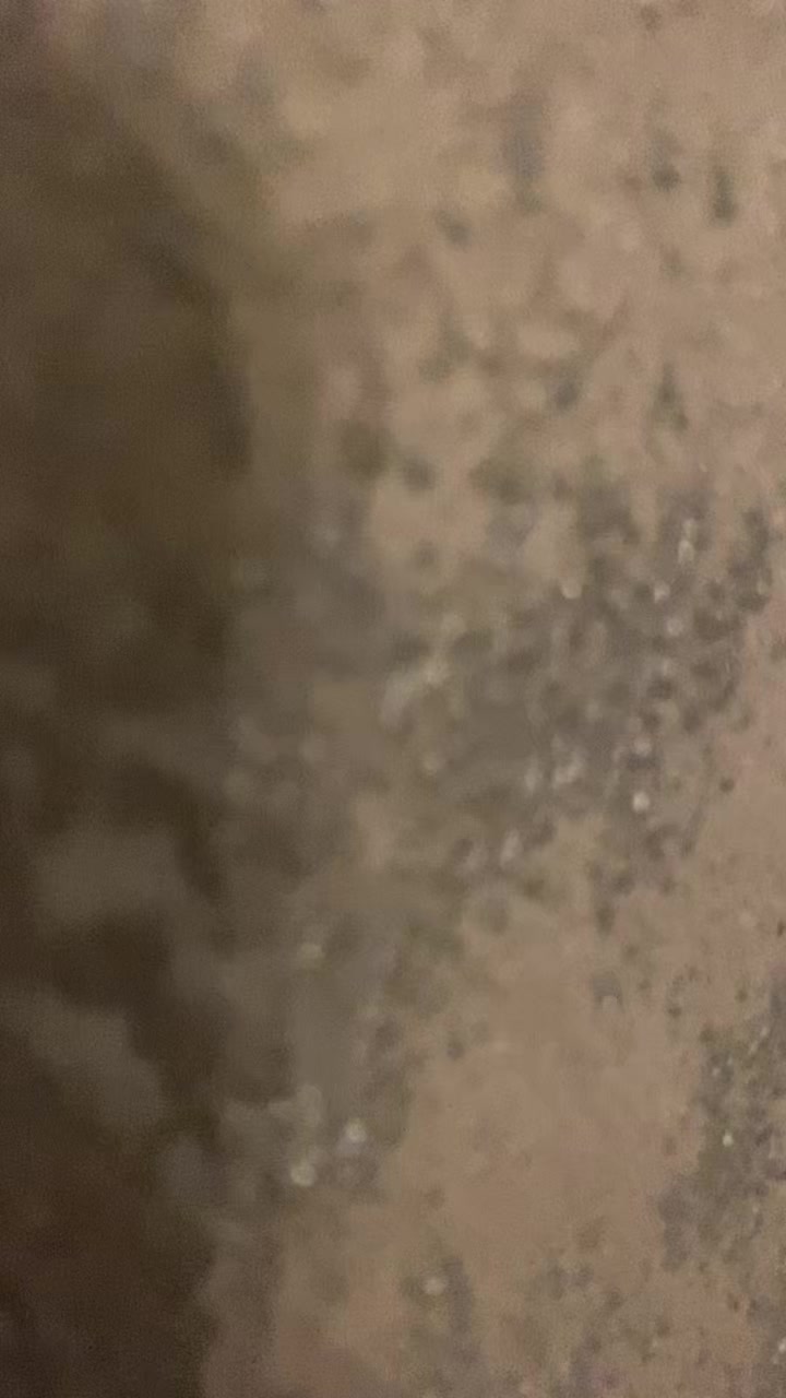 @Digger_stav
