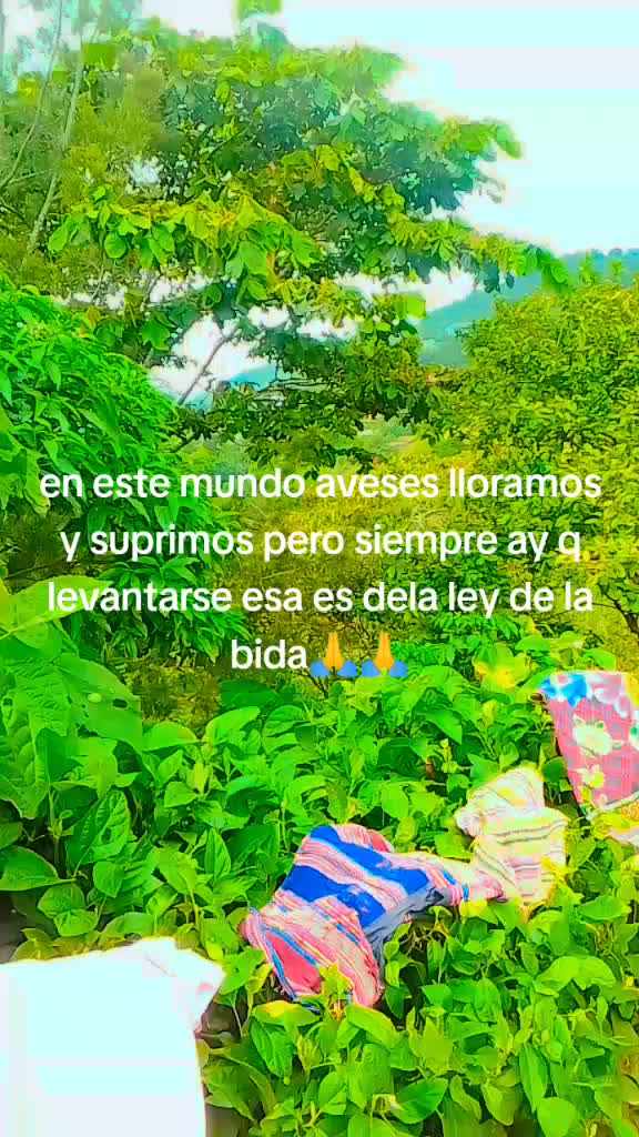 @Felipe Gomez Marcos