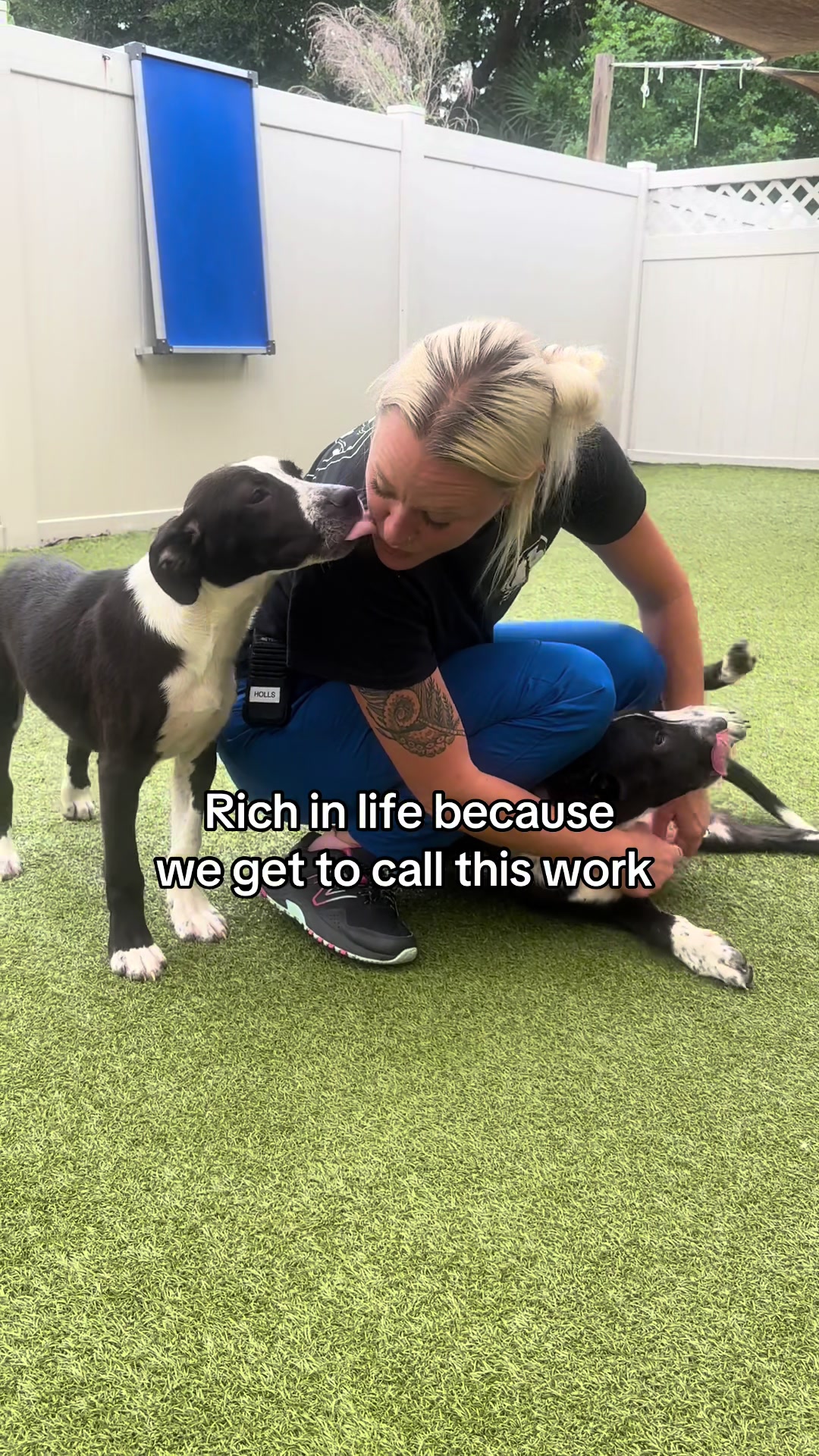 @2vettechs
