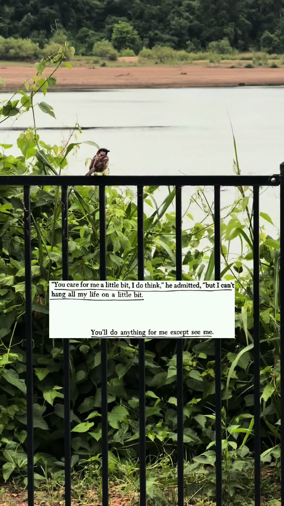 @&zwj;✯