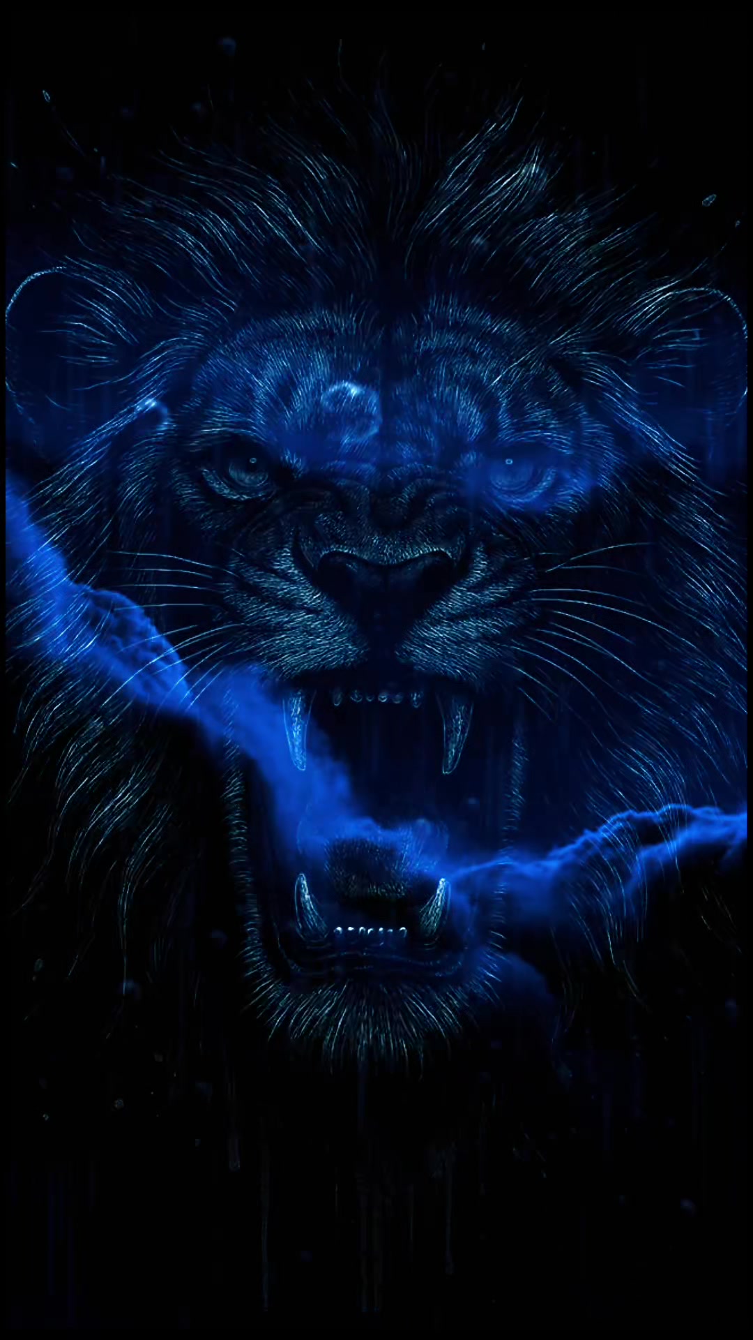@🦁🦁The Lion 🦁🦁