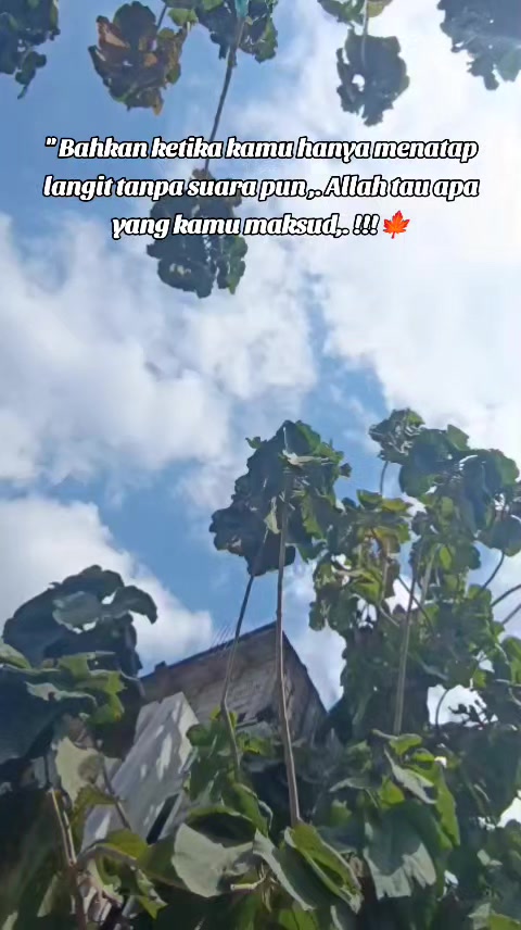 @Febryfaizhaaditya